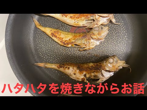 ハタハタ焼きながらお話