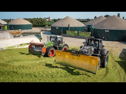 The most famous silage pit in Italy: BELLUCO Farm 🇮🇹🐎