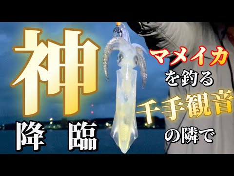 【北海道】【釣り】神降臨！マメイカ狙う千手観音！みんな寝てからゴールデンタイム！