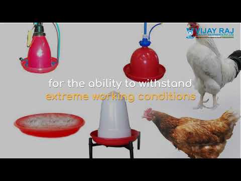 Latest Technology Poultry Farm In India | National Poultry Equipment Company