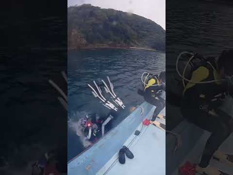 【神奈川 ボート ダイビング】ビーチダイビングより楽々なボートダイビング🚤基本のバックロールエントリーをマスターしよう‼️