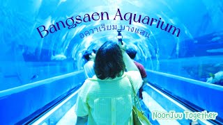 รีวิวเที่ยว อควาเรียมบางแสน น้องแมงกะพรุนสวยมาก Bangsaen Aquarium