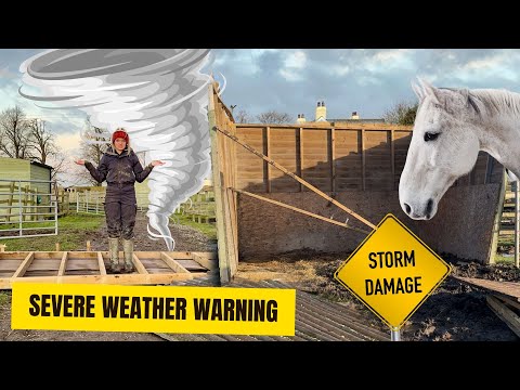 STORM HITS THE FARM | Taking Care Of The Horses