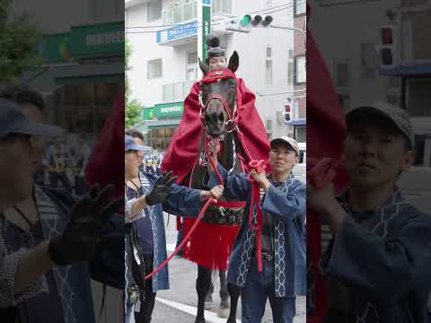 嘶く神馬　浅草神社例大祭 2024年5月19日（日）