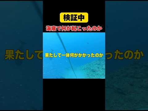 逃した魚はデカかったを水中カメラでみて検証する#釣り#沖縄#万座毛#fishing