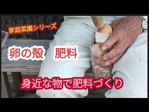 【卵の殻で肥料】卵の殻にはカルシュウムが豊富【家庭菜園シリーズ】