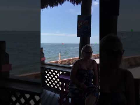 Sister Golden Hair - America / cover / Jeff Burdette ~ Sam's Beach Bar