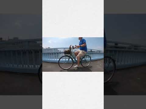 無料で自転車と乗れる！！大阪市営の渡し船に乗ってみた！#shorts