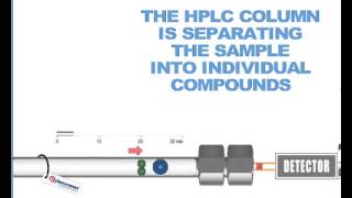 How HPLC Columns Work