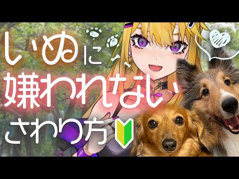 かわいい～！って犬撫でてるのそれ嫌われてるかもよ