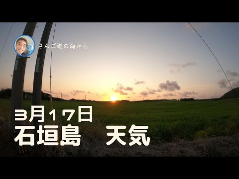 【石垣島天気】3月17日7時ごろ。15秒でわかる今日の石垣島の様子。