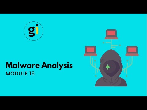 MODULE 16 - Malware Analysis