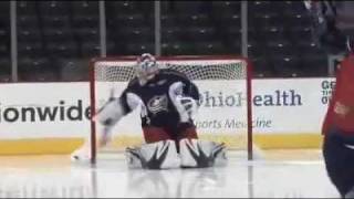 Quiet Eye Theory & Goaltending