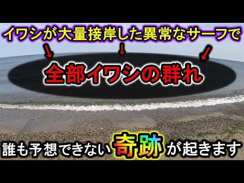 ルアーがまともに泳がないほどイワシだらけの異常なサーフで、釣り場騒然の奇跡を釣り上げます【2024新潟遠征】