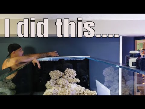 Aquarium plumbing 101