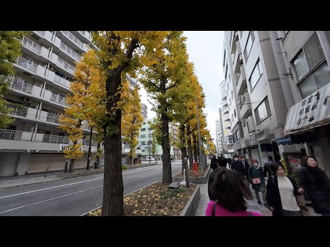 【東京編】東府中駅から始まる散歩：４K Higashi-Fuchu