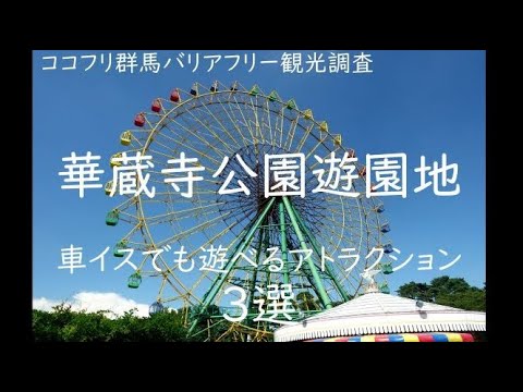 華蔵寺公園遊園地　車イスでも遊べるアトラクション3選