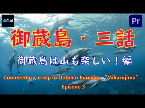 Live Streaming: Journey to Mikurajima, Episode 3