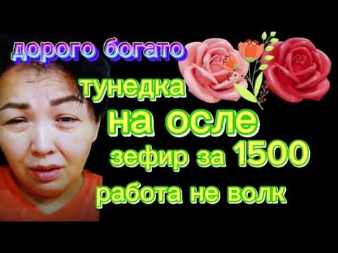 Новый образ на дзен. Теперь нам известно стоимость рекламы у ШлюПки