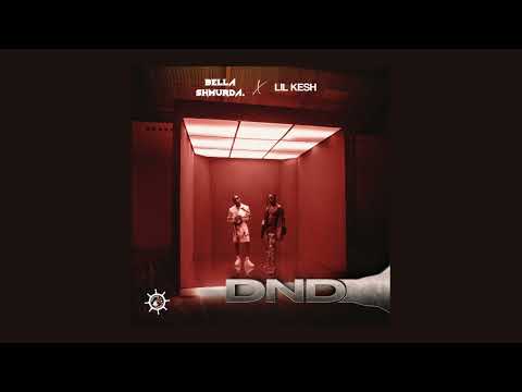 Bella Shmurda feat. Lil Kesh - DND (Official Audio)