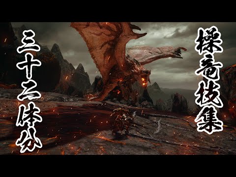 【MHRise】操竜技集（全32体分）