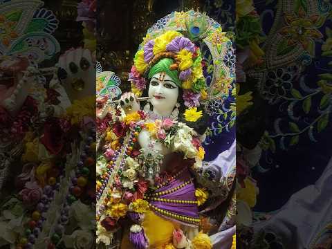 Iskcon temple juhu darshan ❣️ ll #youtubeshorts #shortvideo #radhakrishna @KrishnBhakt12