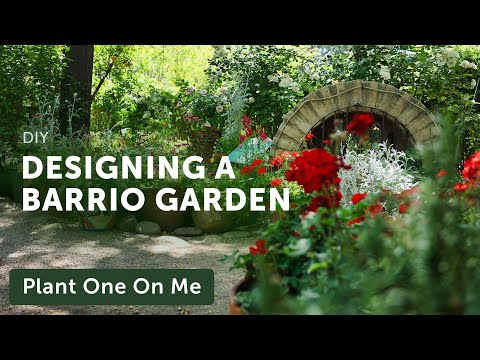 How to DESIGN a BARRIO GARDEN — Ep. 328