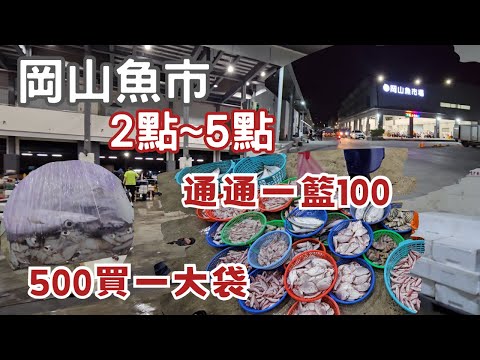 岡山深夜魚市：一盆100元吃不完丨蛤蜊超飽滿，煮出好吃蛤蜊蛋丨養殖魚種幾十樣任君選購丨海鱺1kg 超便宜