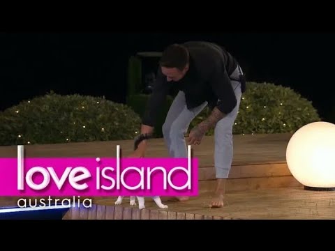 The Villa’s resident cat can’t escape Grant | Love Island Australia (2018) HD