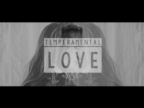 Bridgit Mendler - Temperamental Love ft. Devontée (February 10)