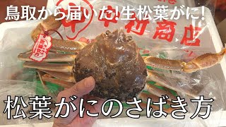 生松葉がに（ズワイガニ）のさばき方　お家で活〆して食べる