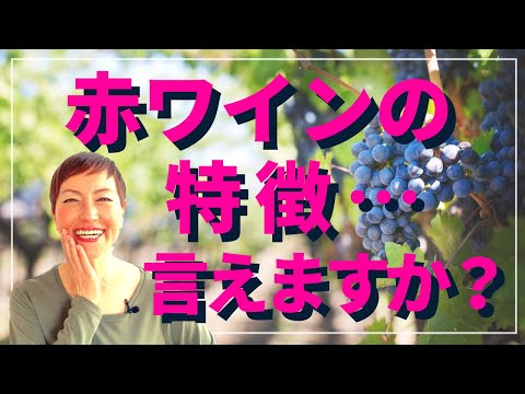 赤ワインの特徴言えますか？｜これだけ知ってればオッケーなワイン知識