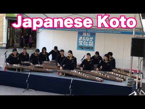 Japanese Koto   西遠女子学園 筝曲部　筝演奏　無編集ノーカット版　　浜松まちなか文化祭　　ザザシティ浜松中央広場　２０２４年１１月２４日