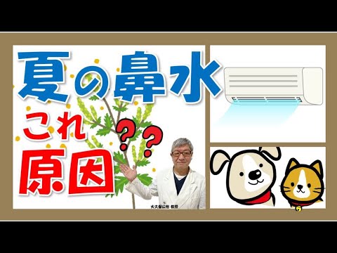 夏のくしゃみ、鼻水の原因はハウスダスト以外にも⁉ペット？草の花粉？大久保公裕先生がやさしく解説