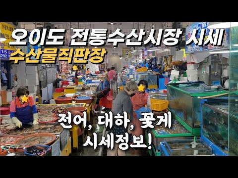 오이도 수산시장(수산물 직판장) 전어, 대하, 꽃게 등 시세