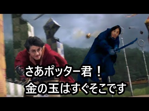 クィディッチに乱入するデスイーターひろゆき【おしゃべりひろゆきメーカー】