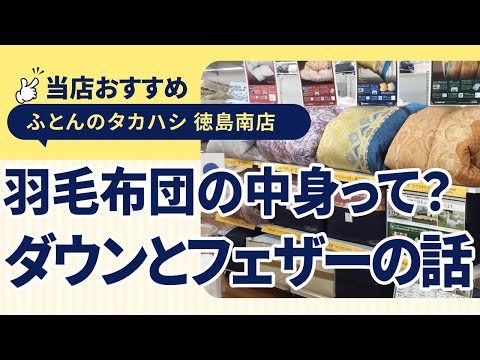 徳島市大松町│羽毛布団の品質表示にあるダウンとフェザーって何が違うの？選び方のポイントを解説！│ふとんのタカハシ徳島南店