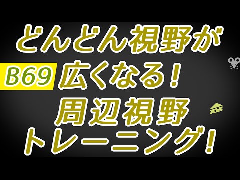 【Daily Eye Training】目指せアスリート！動体視力/周辺視野UP！vol.069