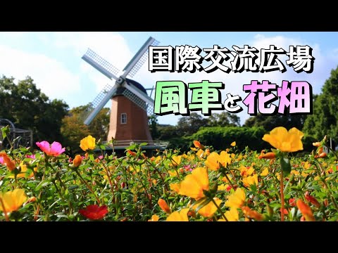 国際交流広場「風車と花畑」の風景