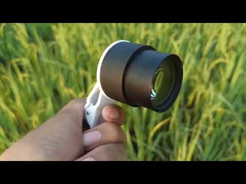 New lens macro video quality Device : Redmi Note 8 ProLens : Prosumer l810 MaxFollow