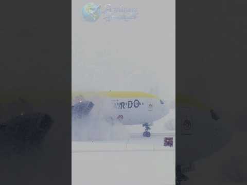 エア・ドゥ🐧ポケモンロコンジェット✈️猛吹雪の旭川空港着陸.Boeing 767⛄️ pokemon Rokon Jet Livery🐥🐦