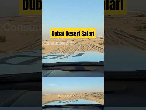 Dubai Desert Safari Amazing Experience 🔥🔥#shorts #travel #dubai #desertsafari