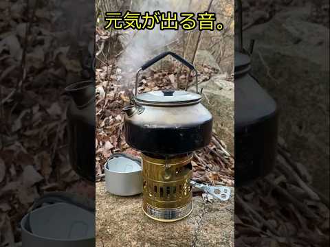 あの音！？SVEA 123Rの燃焼音アレコレ！！#ガソリンストーブ#svea  #キャンプ #camping #100均 #coffee #アウトドア#山#沢#ピクニック#音#フェチ#野遊び