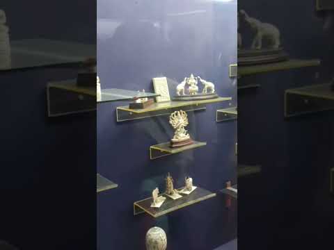 Ivory Gallery | Salar Jung Museum | Hyderabad Vlog | Travel Vlog | India Vlog | Hindi Vlog | Short