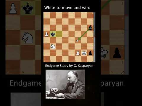 Domination! A Beautiful Chess Endgame Study