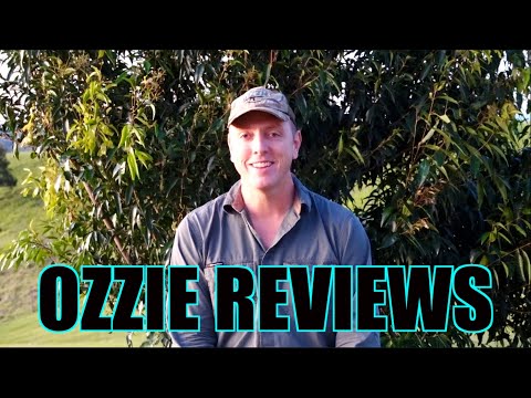 Ozzie Reviews Q & A - Episode #67 (Bushmeister Buckmaster shotguns!)