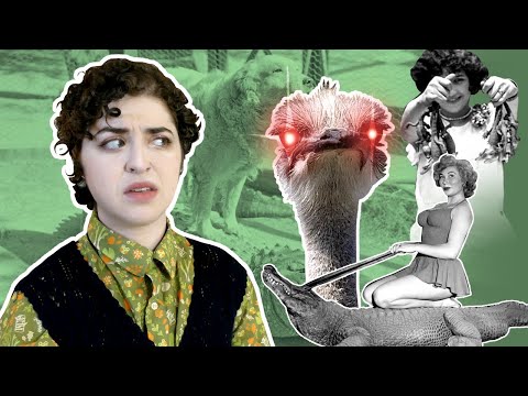 The Disturbing History of LA's Exotic Animal Farms