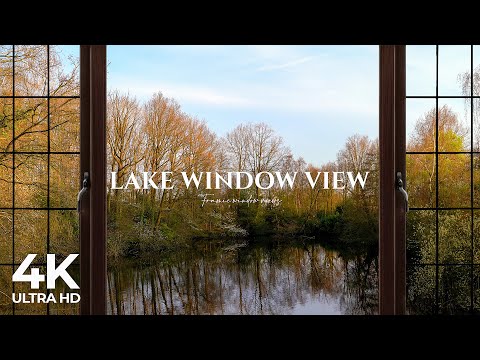 4K lake window view with animals during sunset - Relaxing, Calming, Ambience,