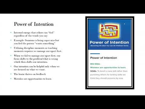 4. Executive State: Adult Power of Intention (Green Brain)