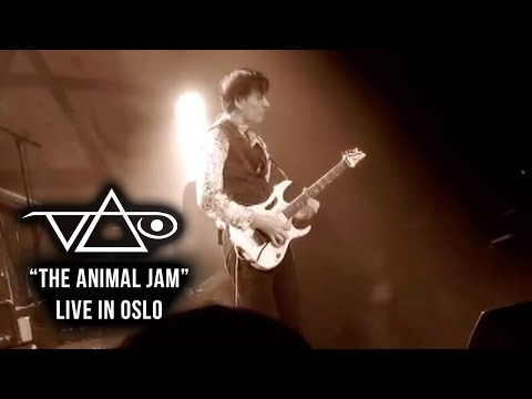 "The Animal Jam" live in Oslo!